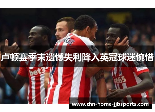 卢顿赛季末遗憾失利降入英冠球迷惋惜