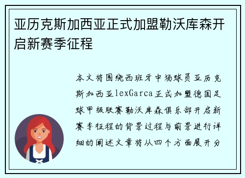 亚历克斯加西亚正式加盟勒沃库森开启新赛季征程